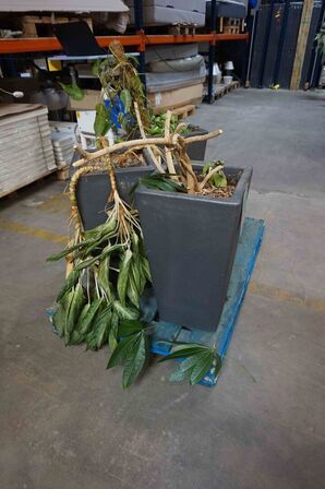 3 krukker med blomster (MOMSFRI) 