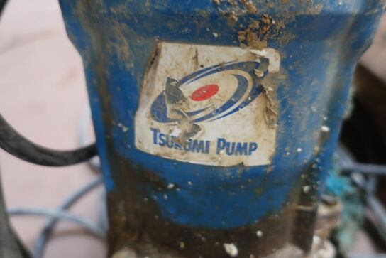 2 stk. dykpumper med slange 