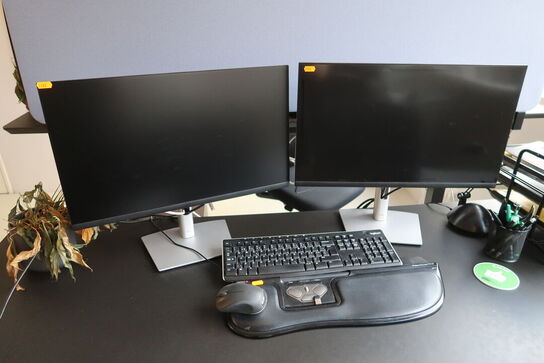 2 stk. computerskærme DELL P2422HE, tastatur, mus, rollermouse