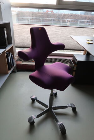 Kontorstol HÅG CAPISCO