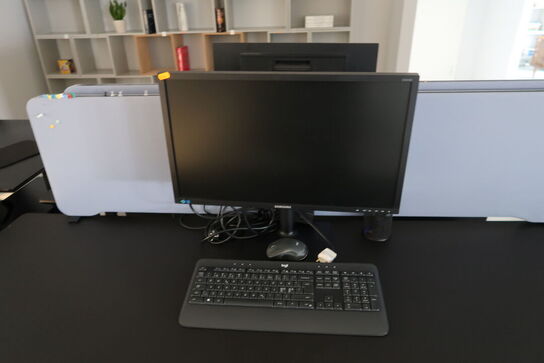 Computerskærm SAMSUNG S45E450D, tastatur, mus