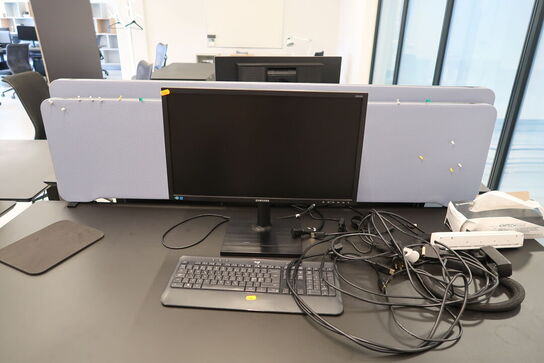 Computerskærm SAMSUNG S24E450, tastatur