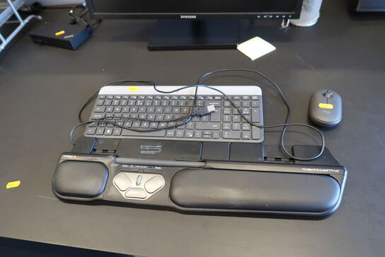 Computerskærm SAMSUNG S24E450, dockingstation LENOVO Thinkpad, tastatur, rollermouse