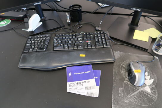 2 stk. computerskærme SAMSUNG S24E450D, dockingstation LENOVO ThinkPad Thunderbolt 3 Dock Gen 2, tastatur og mus