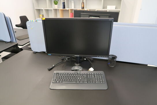 Computerskærm SAMSUNG S45E450D, tastatur, mus