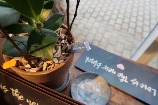 Div. Dekorationer samt planter i krukke