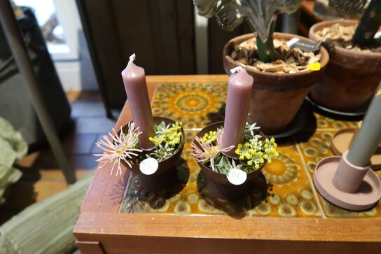 Div. Dekorationer med stearinlys samt 2 stk. planter i krukke