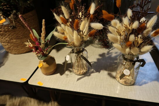 Plante i krukke samt div. Planter i vaser