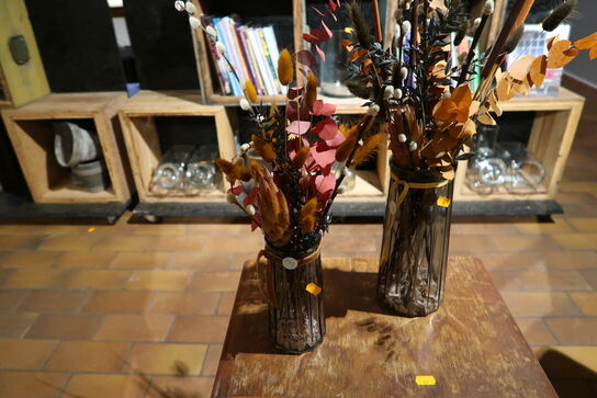 2 stk. planter i vaser