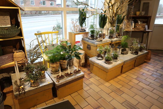 Div. Trækasser uden indhold