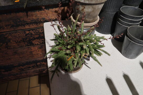 Div. Vaser, krukker m.m.