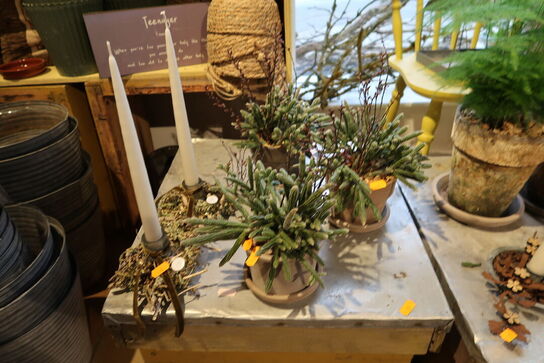 3 stk. planter i krukke samt 2 stk. dekorationer