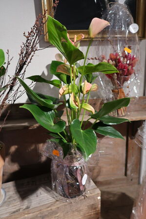 3 stk. blomster i krukke/vase