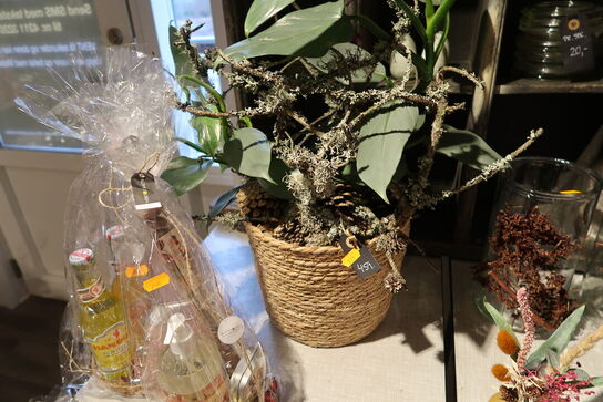 Plante i krukke samt div. Planter i vaser