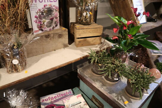 Bord, trækasser uden indhold