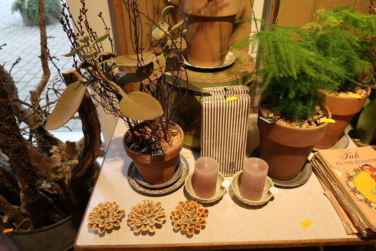 4 stk. planter i krukke