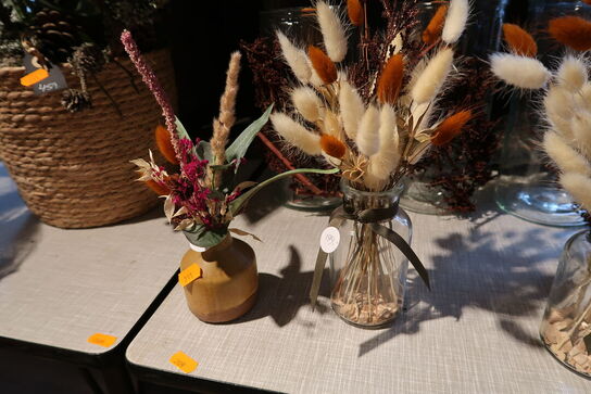 Plante i krukke samt div. Planter i vaser