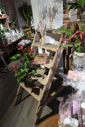 Stige uden indhold samt div. Bøger