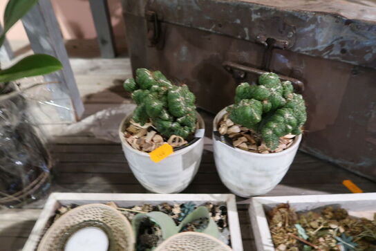 4 stk. dekorationer med stearinlys