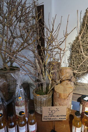 2 stk. krukker med tørrede grene