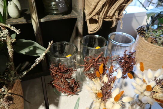 Plante i krukke samt div. Planter i vaser