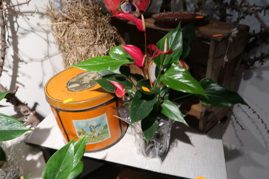 Plante i vase, metalspand, div. Tørrede grene