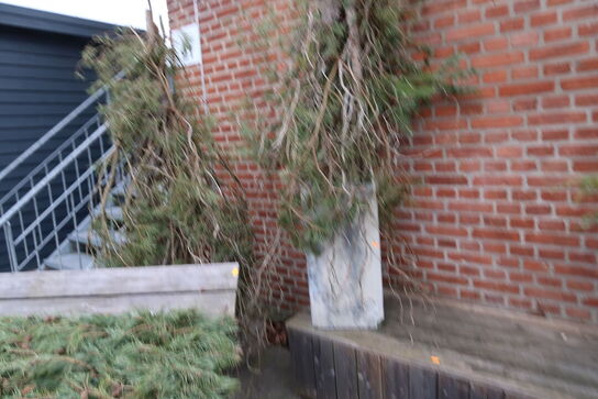 Liggestol samt bænkmoduler