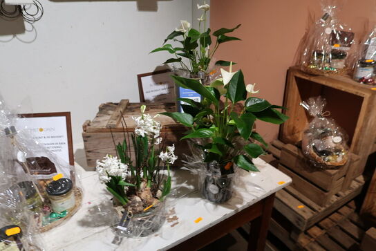 3 stk. blomster i vaser