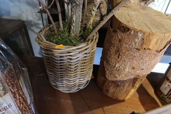 2 stk. krukker med tørrede grene