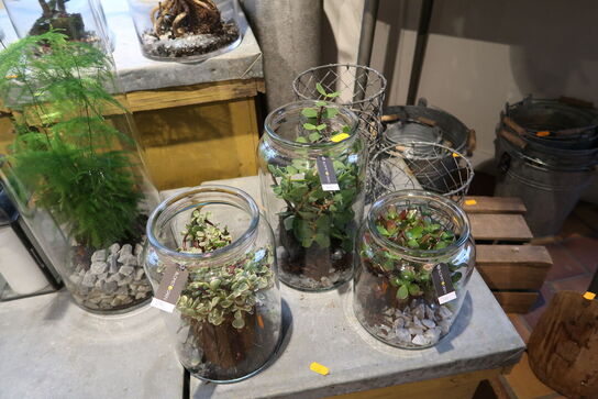 4 stk. planter i vaser