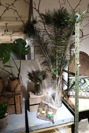 Gavekurv samt div. Fjer