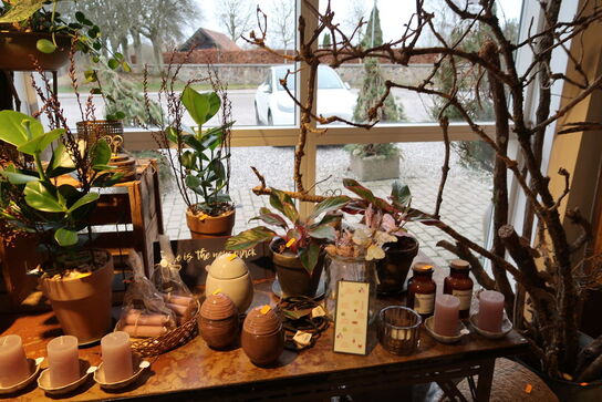 Div. Dekorationer samt planter i krukke