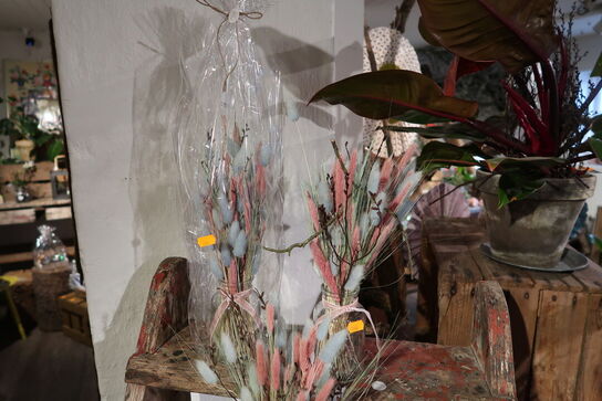 3 stk. planter i vaser