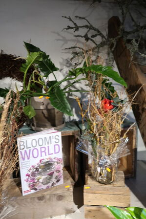 3 stk. planter i krukke/vaser