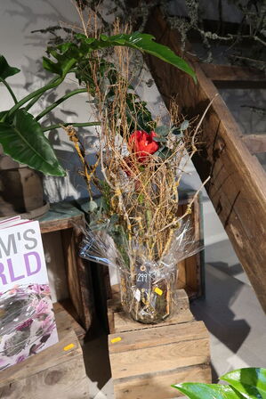 3 stk. planter i krukke/vaser samt dekorationer