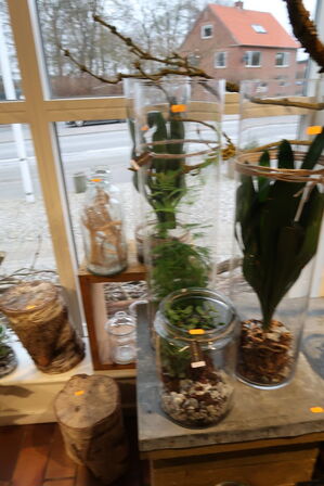 2 stk. planter i vaser