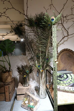 Gavekurv samt div. Fjer