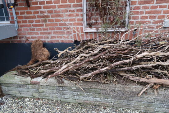 Mannequin på stol m.m.