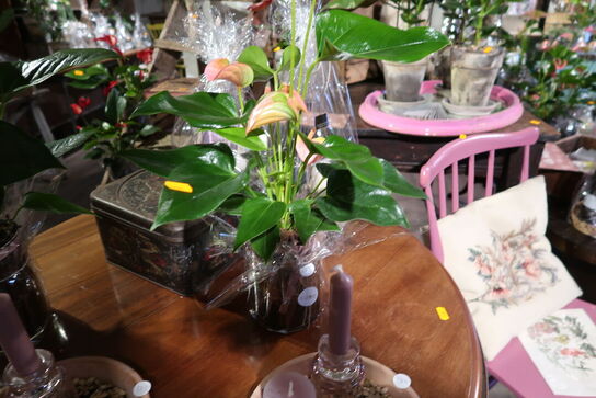 2 stk. planter i krukke samt 2 stk. dekorationer