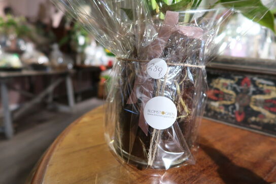 2 stk. planter i krukke samt 2 stk. dekorationer