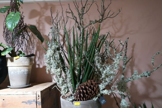 2 stk. planter i krukke