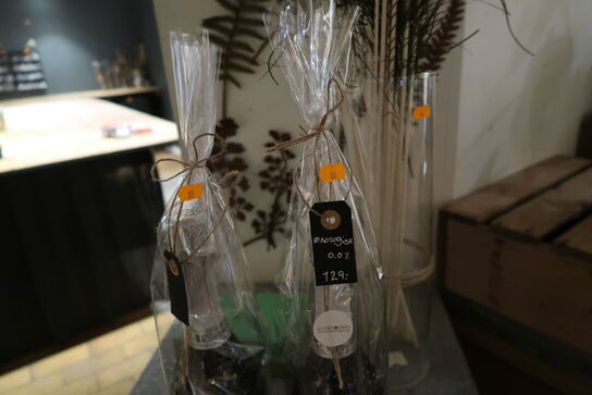 Fjer samt 2 stk. mousserende vin