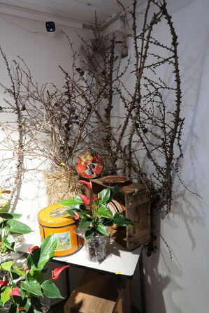 Plante i vase, metalspand, div. Tørrede grene