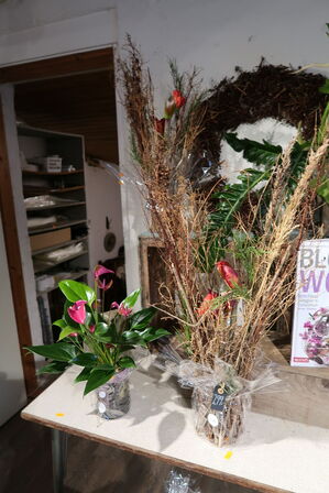 2 stk. planter i vaser