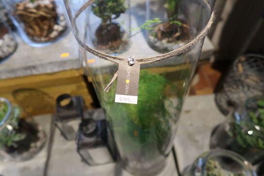 2 stk. planter i vaser