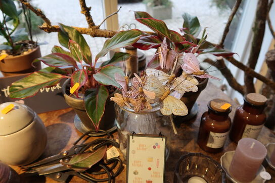 Div. Dekorationer samt planter i krukke