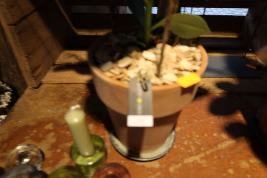 2 stk. planter i krukker samt stearinlys