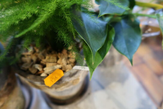 3 stk. planter i krukke samt 3 stk. dekorationer