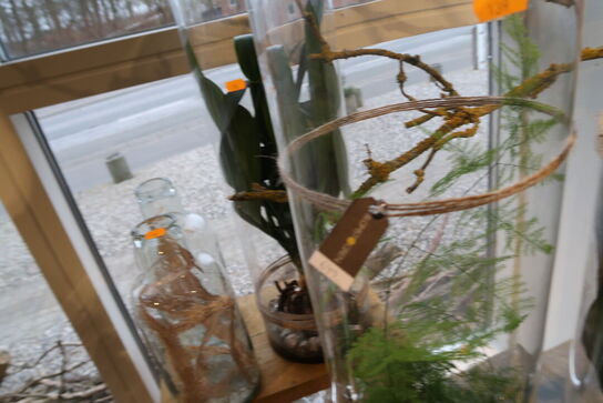 2 stk. planter i vaser