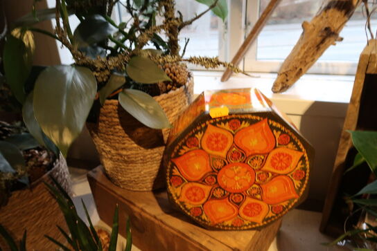 5 stk. planter i kurve/krukke